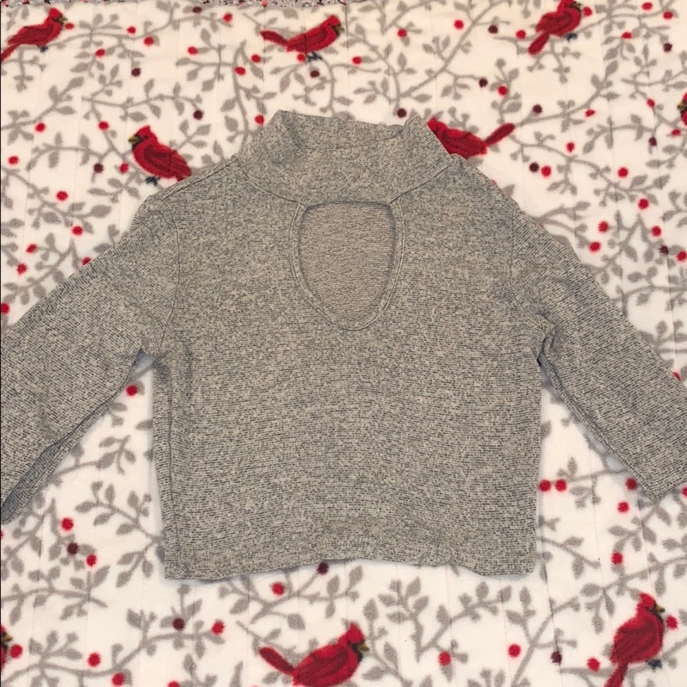 Long sleeve crop top